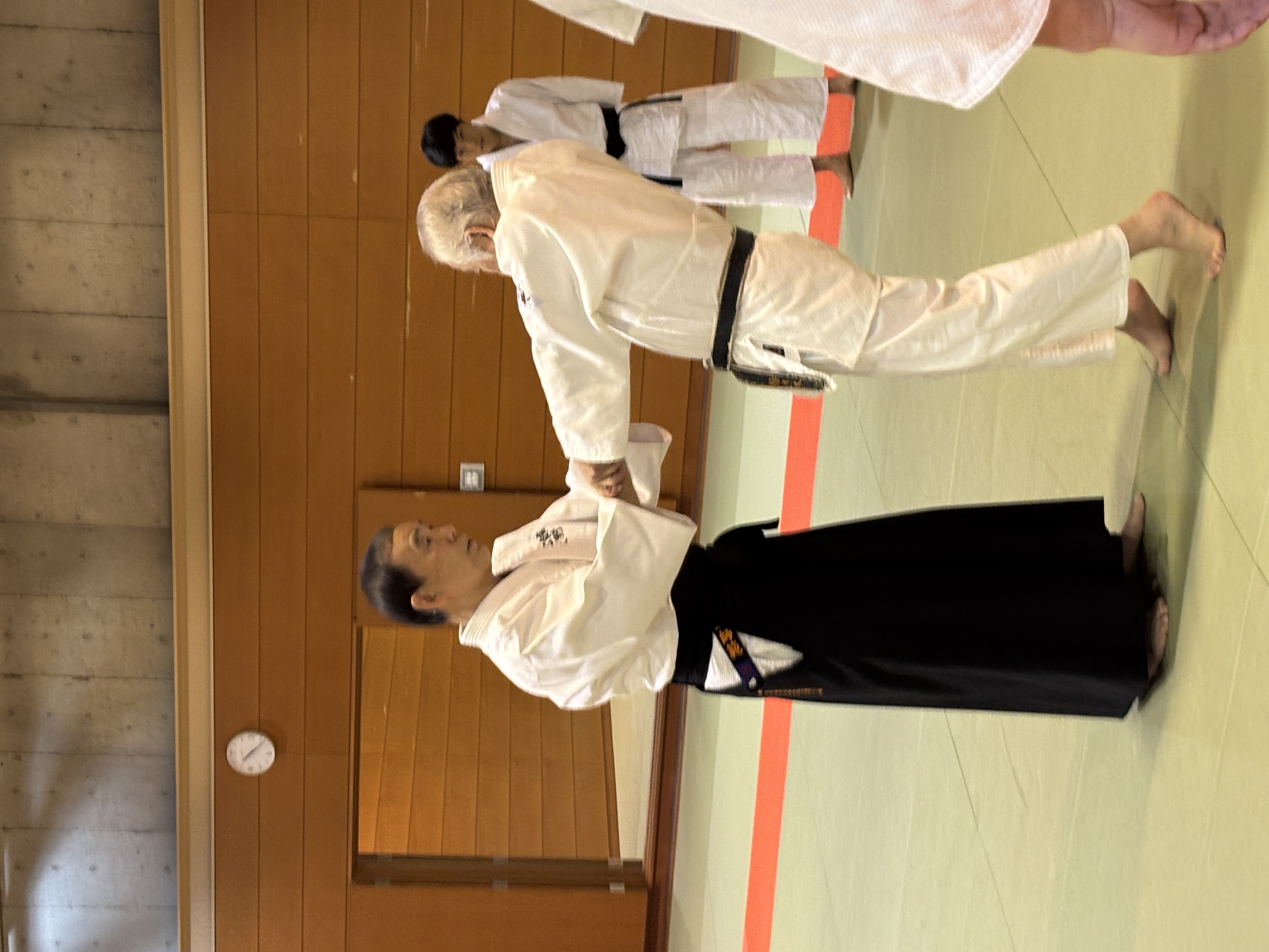 大東流天野先生講習会